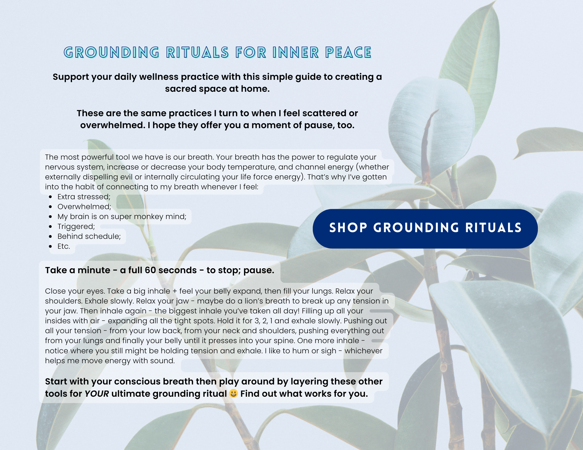 Grounding Rituals for Inner Peace